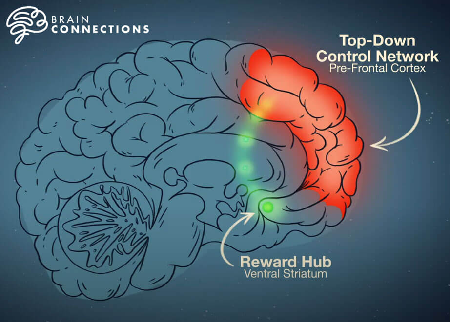 Brain Connections: Understanding Addictions and the Brain